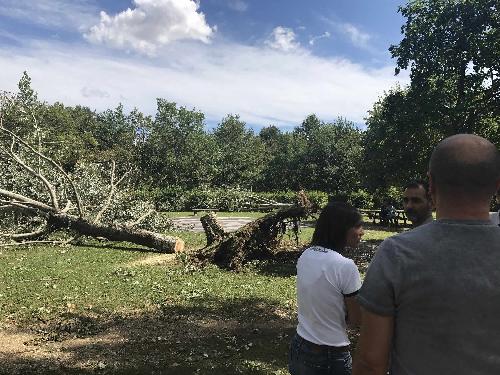 Debora Serracchiani (Presidente Regione Friuli Venezia Giulia) durante il sopralluogo nelle zone colpite dal maltempo (Parco del Cormor) - Udine 11/08/2017	