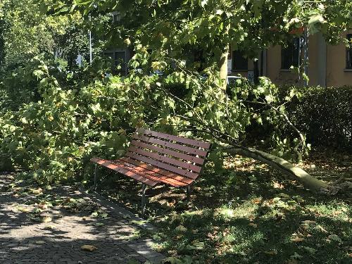 Il parco giochi di via San Daniele colpito dal maltempo - Udine 11/08/2017