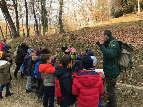 Festa dell'Albero organizzata dal Corpo Forestale Regionale (CFR) - Bosco Romagno 21/11/2017