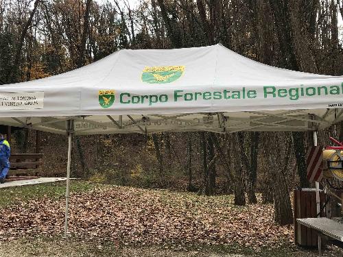 Festa dell'Albero organizzata dal Corpo Forestale Regionale (CFR) - Bosco Romagno 21/11/2017