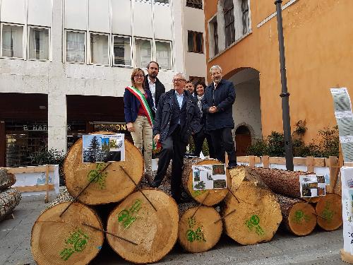 Cristiano Shaurli (Assessore regionale Risorse agricole e forestali) con Valentina De Luca (Assessore Comune Ampezzo), Emilio Gottardo (Presidente Legno servizi), Cristina D’Orlando (Presidente PEFC Italia) e Furio Honsell (Sindaco Udine) alla presentazione dell'installazione con 12 alberi di essenze pregiate provenienti dalla foresta di Ampezzo, in piazza del Lionello - Udine 24/11/2017