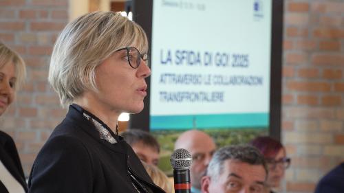 L'assessore Zilli nel corso del suo intervento