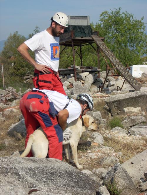 Un momento di esercitazione della Protezione Civile con i volontari del Coordinamento regionale unità cinofile - Foto Protezione Civile Fvg