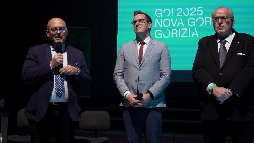 L'assessore regionale Sebastiano Callari all'incontro svoltosi a Gorizia
