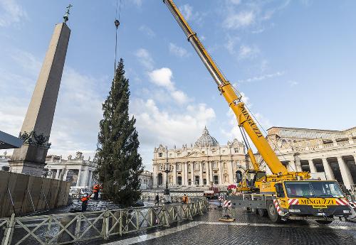 L'issaggio in piazza San Pietro dell'abete del Cansiglio destinato al Papa