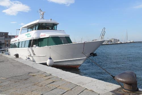 Il Delfino Verde, l'imbarcazione che nei mesi di luglio e agosto del prossimo anno effettuerà il tour marittimo storico nel Golfo di Trieste. 