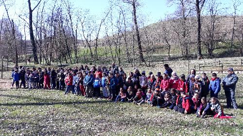 Gli alunni partecipanti alla Giornata internazionale delle Foreste a Bosco Romagno (Cividale)