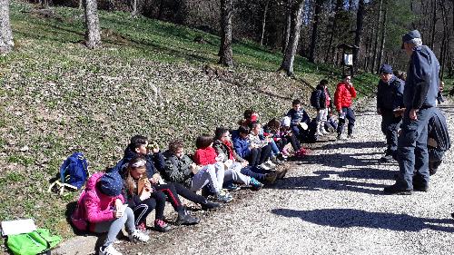 Ispettori del Cfr danno lezione nel bosco agli alunni delle scuole primarie di Udine e Cividale