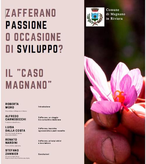 La locandina del convegno tenuto a Magnano in Riviera, "Zafferano: passione o occasione di sviluppo?" a cui ha partecipato l'assessore regionale alle Risorse agroalimentari Stefano Zannier