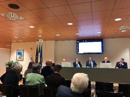 L'intervento del vicegovernatore, Riccardo Riccardi, all'incontro del Garante della salute, a Udine