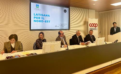 L'intervento di Anzil a Udine