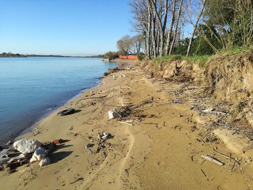 La sponda sinistra del Tagliamento a Lignano prima dell'intervento