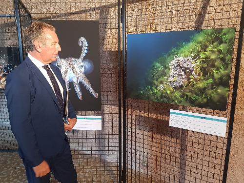 L'assessore alla Difesa dell'ambiente Fabio Scoccimarro visita la mostra fotografica 'Rispettiamo il mondo sopra e sotto' ospitata dal Castello di Duino fino al 6 gennaio 2021