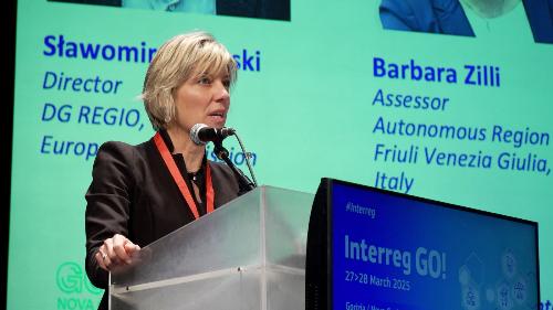 L'assessore Zilli nel corso del suo intervento