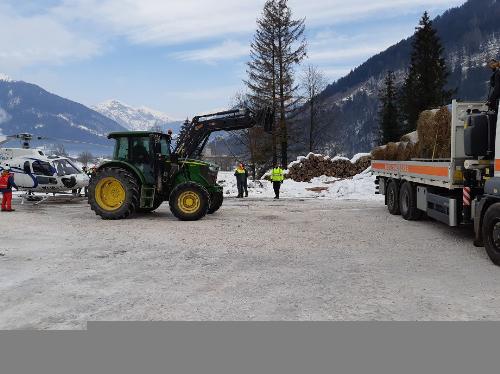 La consegna degli alimenti per gli animali in difficoltà a causa delle forti nevicate.