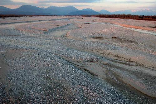 Il greto del fiume Tagliamento e la sua vegetazione ripariale.Foto: archivio del Corpo forestale regionale - Stefano Fabian
