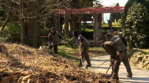 Operai forestali regionali al lavoro nel parco di Miramare a Trieste