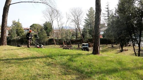 Operai forestali regionali al lavoro nel Parco di Villa Coronini Cronberg a Gorizia