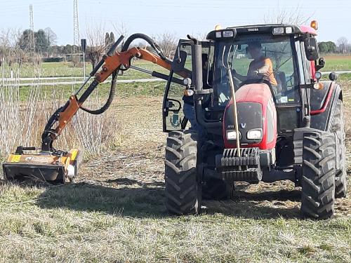 Operaio forestale regionale in azione su una lunetta di Palmanova