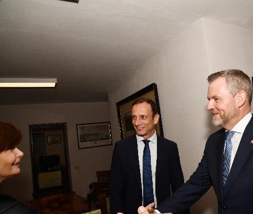 allegato  (foto)