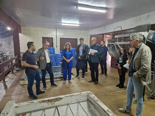 L'assessore regionale Stefano Zannier, secondo da sinistra, in un altro momento della visita all'Istituto di enologia a Bento Goncalves, in Brasile.