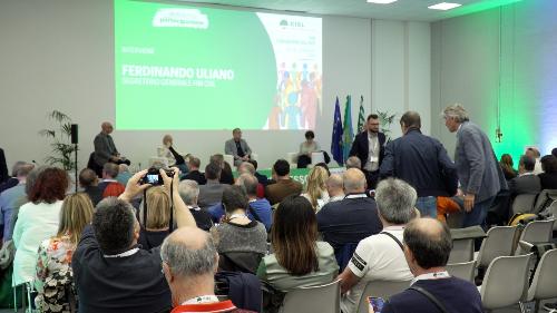 allegato  (foto)