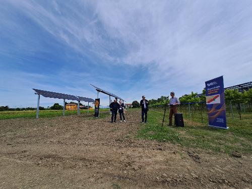 Il primo impianto agrivoltaico avanzato del Friuli Venezia Giulia a Palazzolo dello Stella.