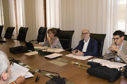 Un momento della riunione del Comitato per la legislazione, il controllo e la valutazione. Al centro l'assessore Riccardi