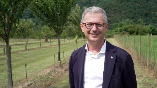 L'assessore Zannier in un castagneto delle Valli del Natisone