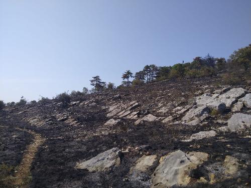 L'incendio a Monfalcone