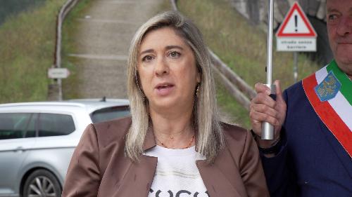 allegato  (foto)