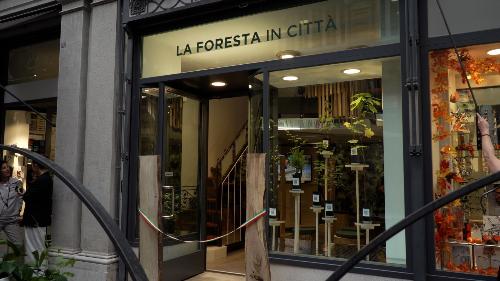 L'ingresso dello spazio urbano dedicato alla foresta regionale in via Muratti, nel centro di Trieste