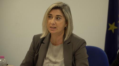 L'assessore alle Infrastrutture e territorio Cristina Amirante alla riunione della  Cabina di regia regionale della logistica