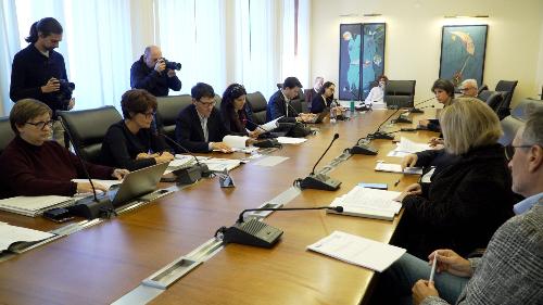 L'assessore Rosolen nella seduta valutativa in Consiglio regionale dedicata alla legge 22 del 2021