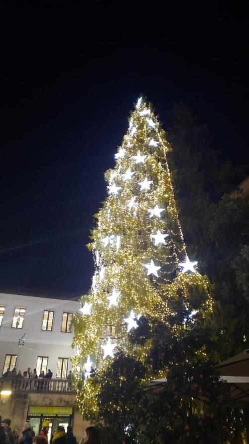 L'accensione del tradizionale albero di Natale in piazza XX  Settembre a Pordenone