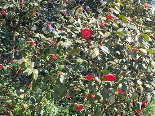 Alcune istantanee del Giardino Viatori