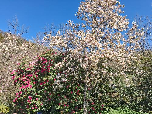 Alcune istantanee del Giardino Viatori