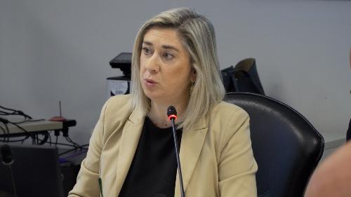 L'assessore Amirante