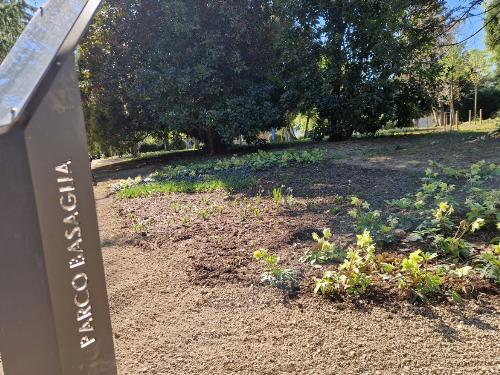 Un angolo del Parco Basaglia.