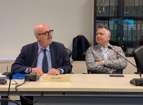 L'assessore Callari al Consiglio delle autonomie locali