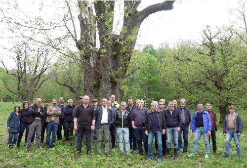 Foto di gruppo al termine del sopralluogo degli impianti sperimentali di castagno a San Leonardo.
