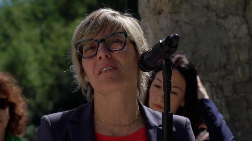 L'assessore Zilli durante il suo intervento