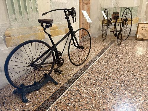 Alcuni degli esemplari in mostra a Villa Manin